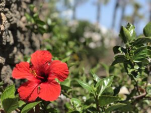 IMG_1269